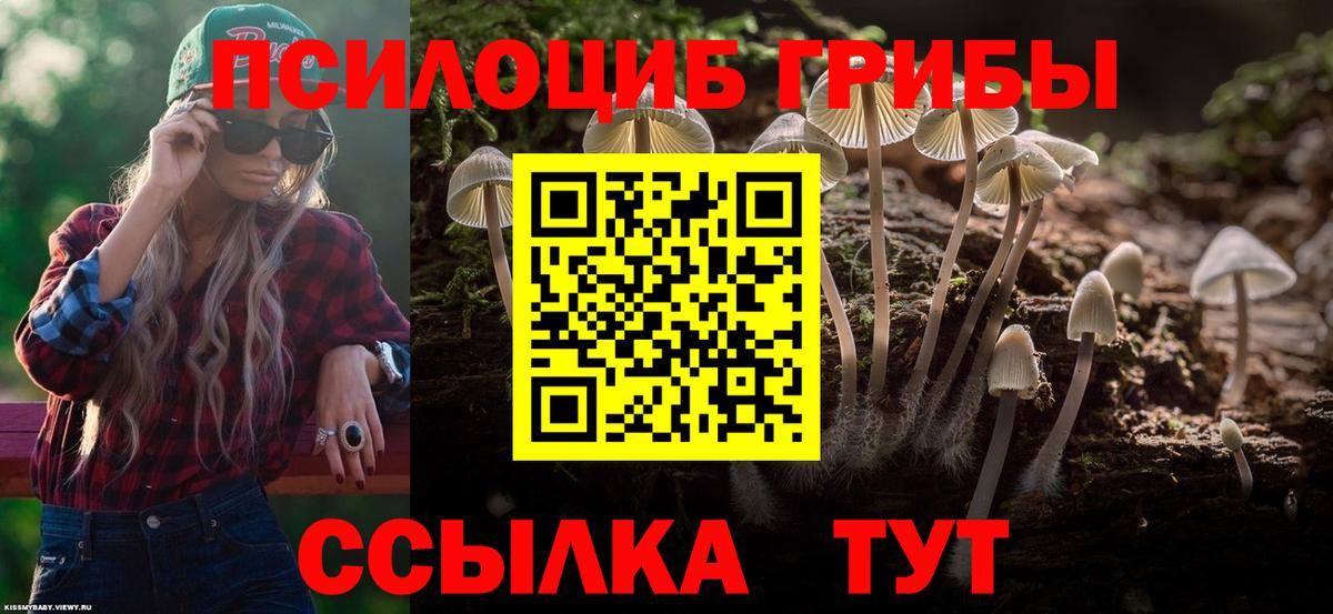 Псилоцибиновые грибы Psilocybine cubensis  Вход с VPN  Зеленокумск 